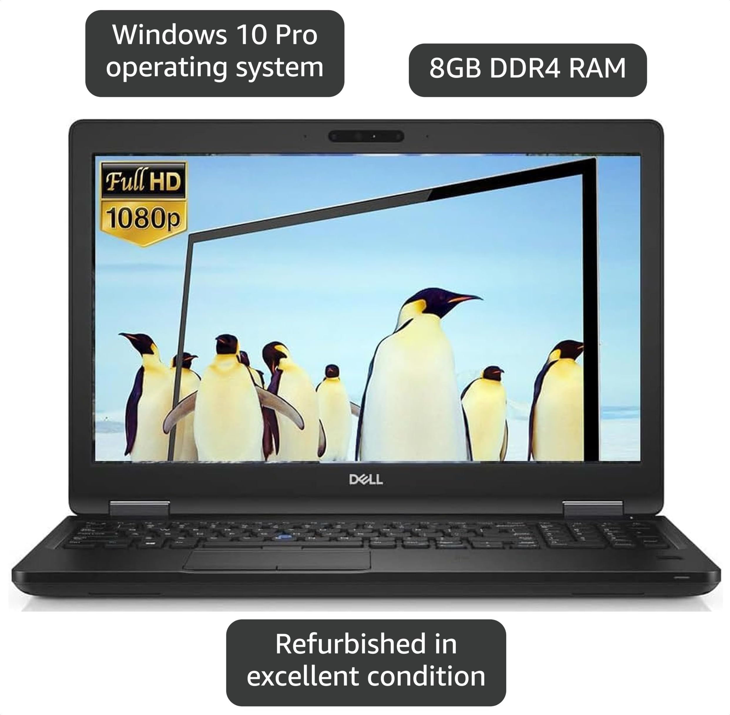 Amazon.com: Dell Latitude 5590 Business Laptop, 15.6